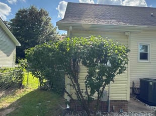 Bush Trimming by Amelia Brown for Steve R. in Lexington, SC