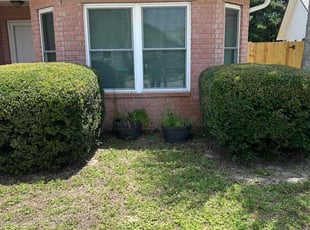 Bush Trimming by Guilherme Silveira for Abdul S. in Mary Esther, FL