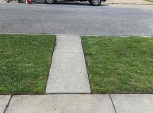 Larry D.'s Lawn Service service result