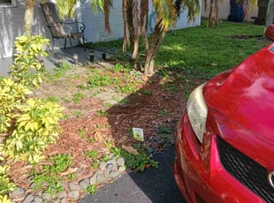 Weeding by Robert Perez for Christine B. in Pembroke Pines, FL