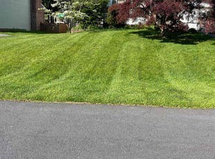 Peggy B.'s Yard Cutting service result