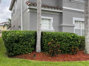Bush Trimming by Damien Mieles for Rick F. in Orlando, FL
