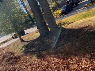 Weeding by Jeff Miller for Carvie &Tressy T. in Richmond, VA