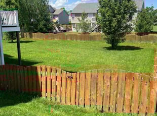 Courtney D.'s Lawn Mowing Service service result