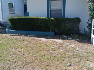 Bush Trimming by Gary Peterson for Benton W. in St. Petersburg, FL