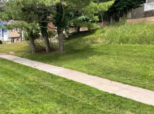 Rose L.'s Lawn Mowing service result