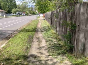 Michelle H.'s Lawn Service service result