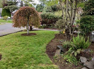 Bush Trimming by Christopher Hodson for Linda K. in Milwaukie, OR