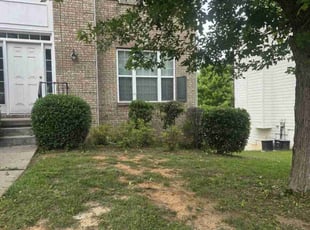 Bush Trimming by David Clark for Nicole C. in Atlanta, GA