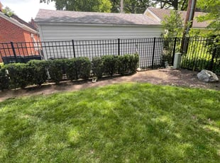 Bush Trimming by John Simon for Barbara B. in Royal Oak, MI