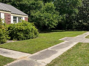 Lauren P.'s Lawn Mowing service result