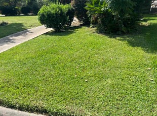 Robbin S.'s Yard Cutting service result