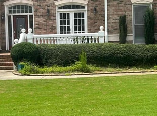Bush Trimming by Rafael Ramirez for Melissa k. in Duluth, GA