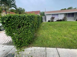 Bush Trimming by Marcus Major for Mark K. in Pompano Beach, FL
