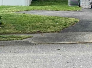Sean J.'s Lawn Care service result