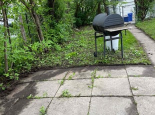 Bush Trimming by Connor Doyle for Talisha A. in Saint Paul, MN