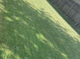 Kourtney B.'s Grass Cutting service result