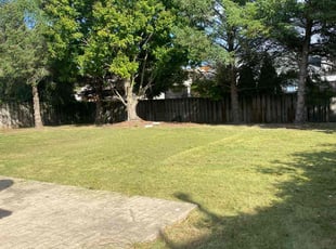 Joseph S.'s Lawn Mowing Service service result
