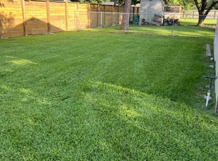 Desaray G.'s Grass Cutting service result