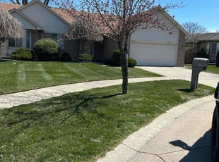 Miah W.'s Lawn Care service result