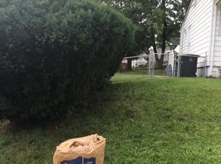 Bush Trimming by Paul Wright for Natalie P. in Capitol Heights, MD