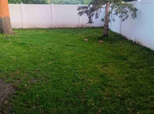 Larry J.'s Lawn Mowing Service service result