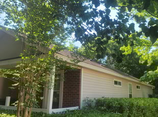 Bush Trimming by Shelton Brown for Veece M. in Tallahassee, FL