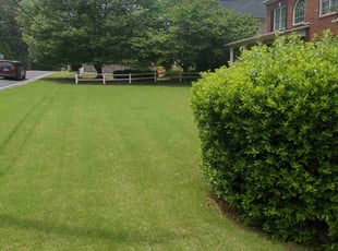 Joan P.'s Lawn Maintenance service result