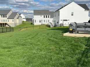 Alexsis T.'s Lawn Mowing service result