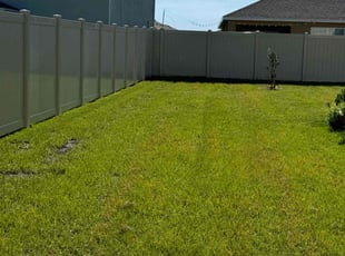Jo K.'s Lawn Mowing service result