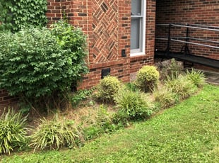 Bush Trimming by John Waddell for Andrew M. in Indian Trail, NC