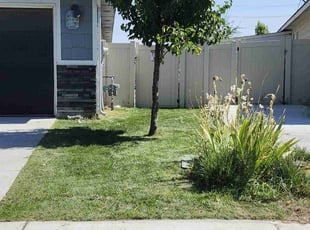 Lydia E.'s Yard Cutting service result