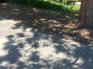 Weeding by Donta Palmer for Keena A. in Colorado Springs, CO