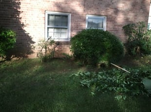 Bush Trimming by Michael Campbell for Elizabeth J. in Richmond, VA