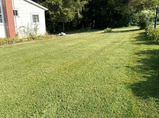 Ross M.'s Lawn Maintenance service result