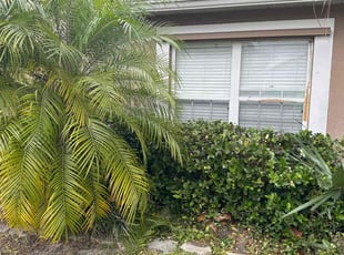 Bush Trimming by Mike Douglas for William Y. in Orlando, FL