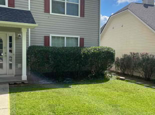Bush Trimming by Jeffrey Curtis for Sue H. in Fairburn, GA