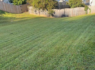 German V.'s Yard Cutting service result