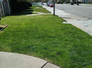 Keanna P.'s Lawn Mowing Service service result