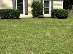 Bush Trimming by Antwain Turner for Sharon H. in Goose Creek, SC