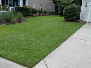 Ruth B.'s Lawn Service service result