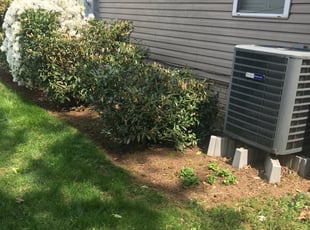 Cleanups by Margarito Cardona for Cherice D. in Herndon, VA