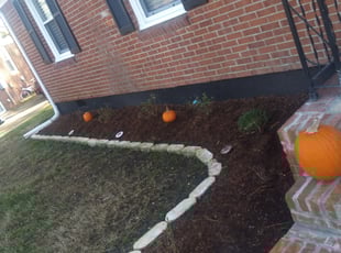Weeding by James Johnson for Moscow S. in Portsmouth, VA