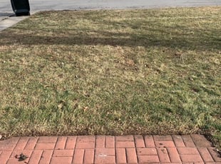 Leaf Removal by Kaileb Brown for Marquan W. in Blue Township, MO