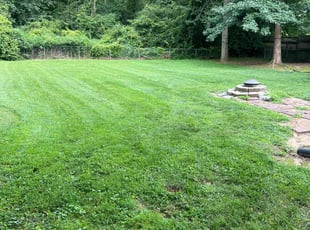 Steve D.'s Lawn Service service result