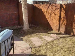 Leaf Removal by Kevin Johnson for Christina T. in Denver, CO