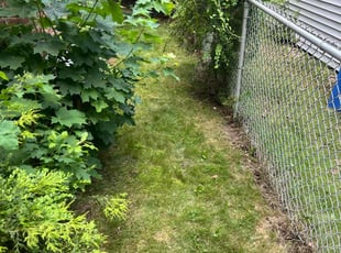 Leaf Removal by Arcadio Reyes for Kassandra D. in Hartford, CT