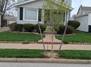 Melinda C.'s Lawn Maintenance service result