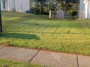 Karen G.'s Lawn Care service result