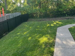 Peter N.'s Lawn Mowing service result